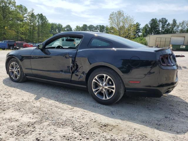 1ZVBP8AM4E5211018 | 2014 FORD MUSTANG