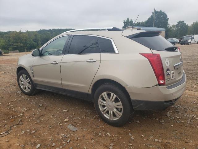 CADILLAC SRX LUXURY COLLECTION 2011 1