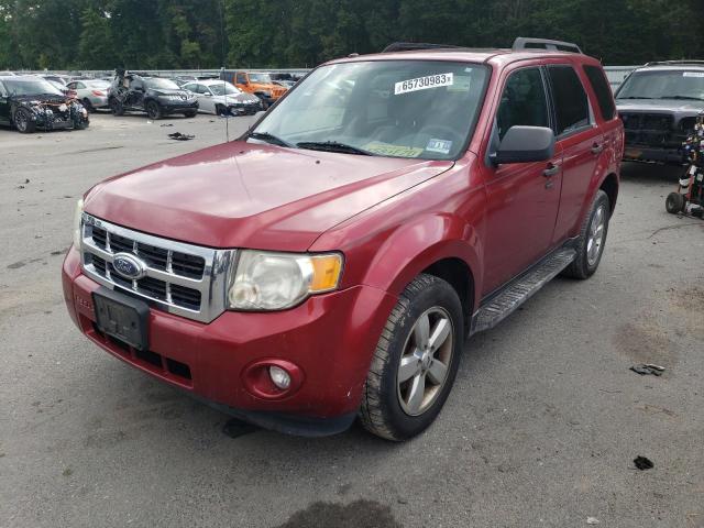 2009 Ford Escape XLT