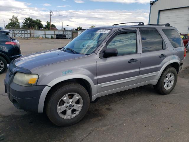 2007 Ford Escape XLT