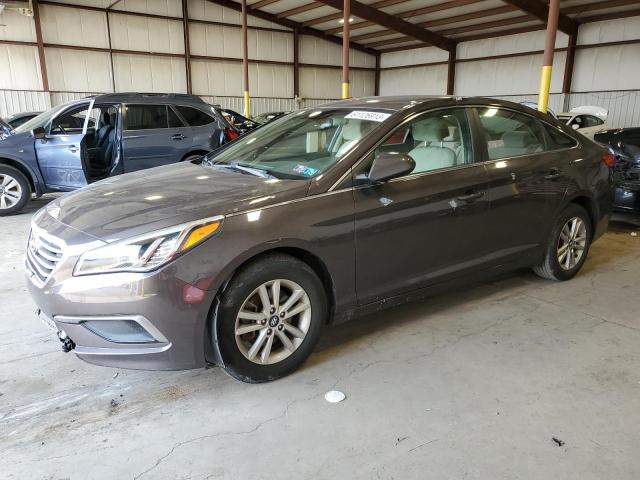 Vin: 5npe24af7gh426971, lot: 61126913, hyundai sonata se 20161