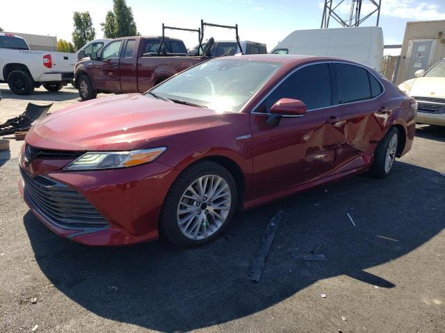 2019 Toyota Camry Hybrid 