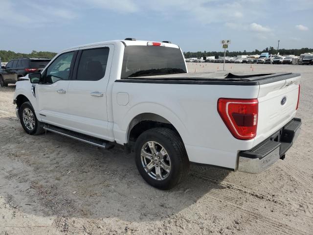 1FTFW1CDXMFC28099 Ford F-150 F150 SUPER 2