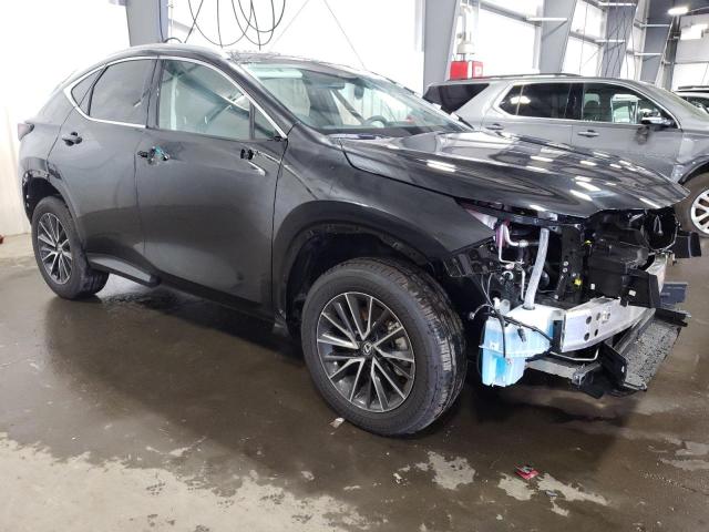 2024 LEXUS NX 350 PRE 2T2GGCEZ3RC033589