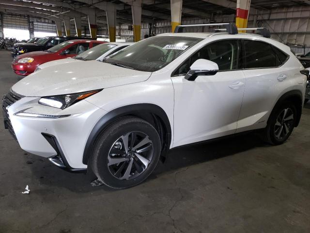 2019 Lexus NX 300h 