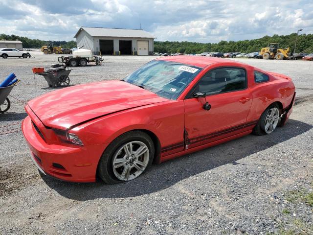 2013 Ford Mustang 