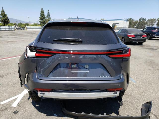 2024 LEXUS NX 250 BAS JTJADCAZ6R5013632