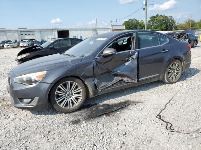 2015 Kia Cadenza Premium VIN: KNALN4D77F5195357 Lot: 64504483