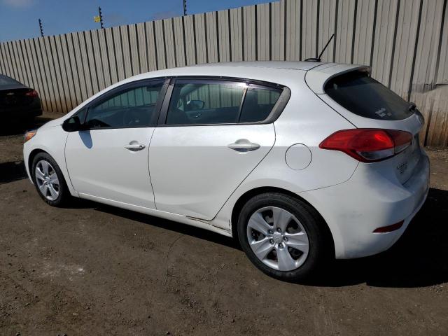 KNAFK5A83G5601452 KIA FORTE LX