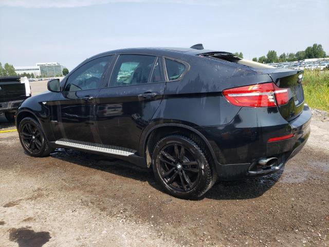 5UXFG2C58E0C43671 2014 BMW X6, photo no. 2