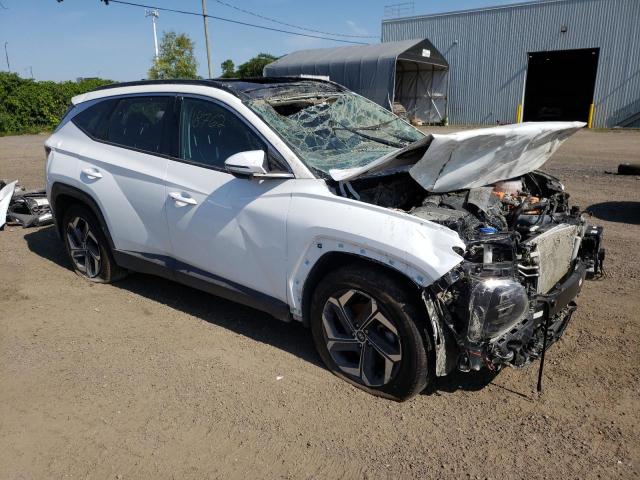 2022 HYUNDAI TUCSON LUX - KM8JCCA15NU082761
