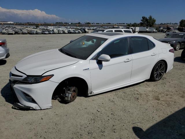 2019 Toyota Camry Hybrid 