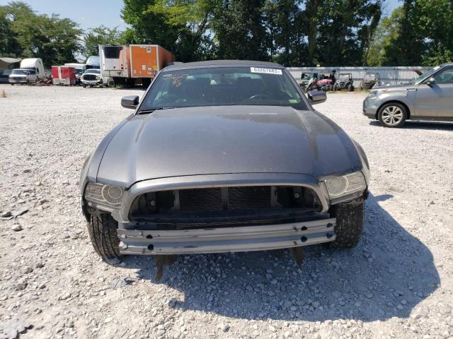 1ZVBP8EM2E5262513 Ford MUSTANG