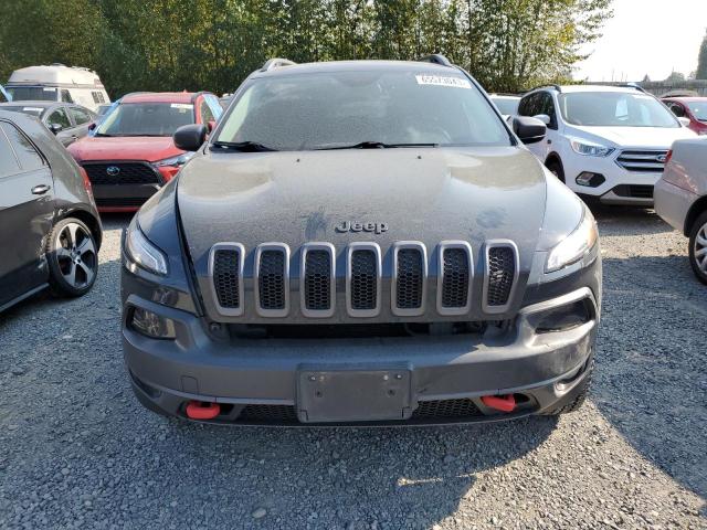 1C4PJMBS2GW236108 Jeep Cherokee Trailhawk