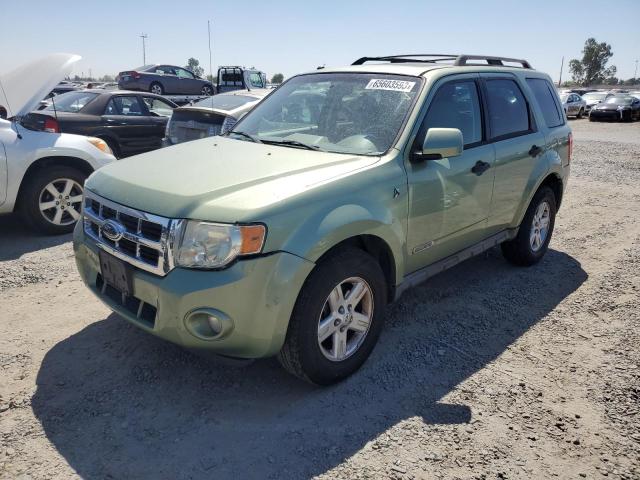 2008 Ford Escape 