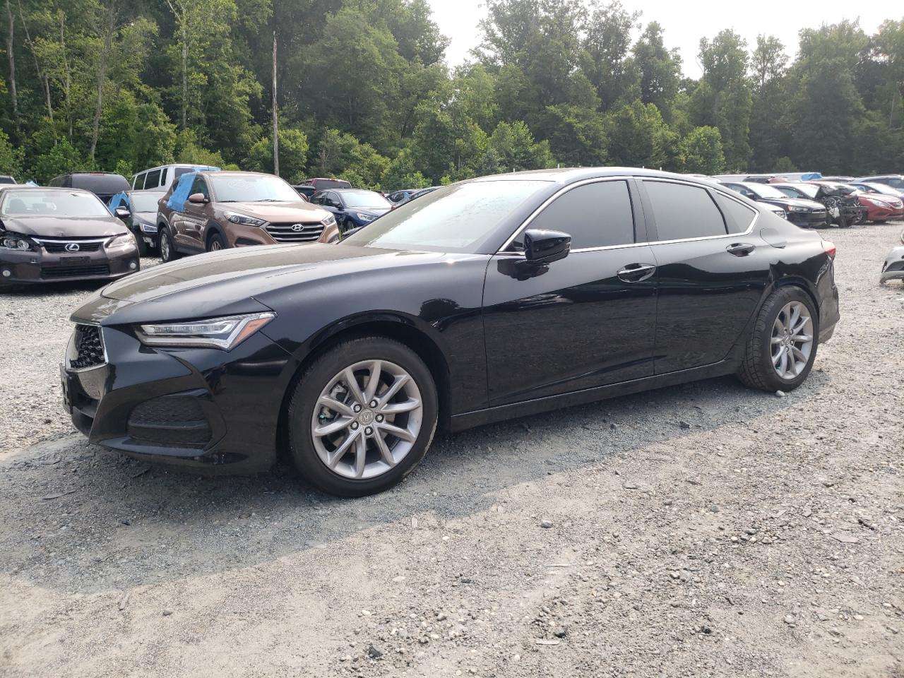 19UUB6F33MA005579 Acura TLX 