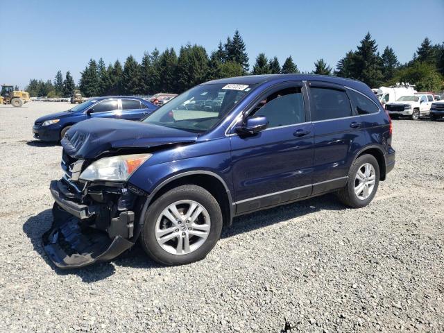 Vin: 5j6re3h74al007314, lot: 64312013, honda crv exl 2010 img_1