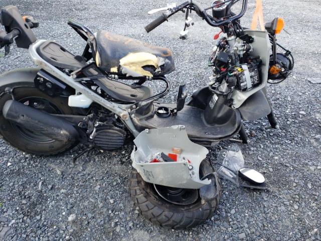 2023 HONDA NPS50 JH2AF5826PK900705