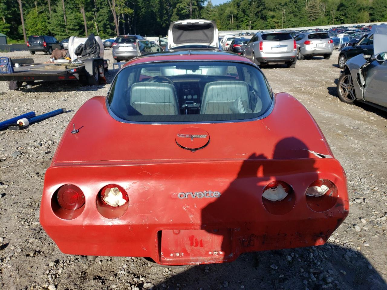 Lot #2806821037 1981 CHEVROLET CORVETTE