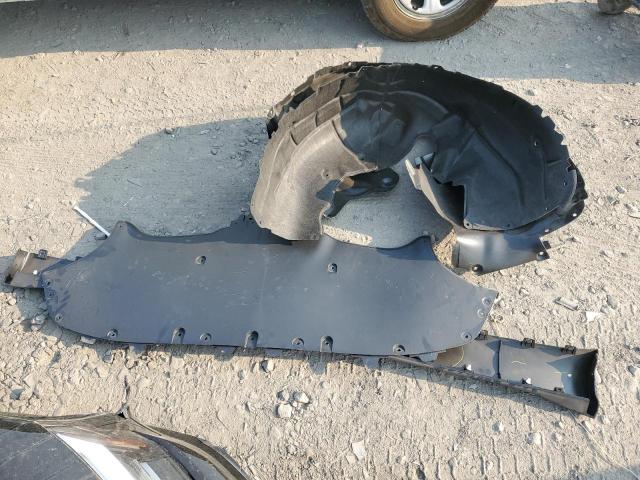 2023 TESLA MODEL Y - 7SAYGDEE7PF816759