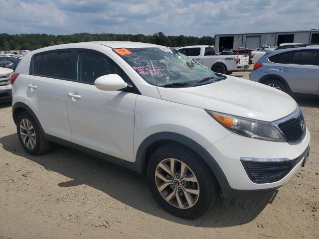 KNDPB3AC4E7559925 KIA Sportage Base