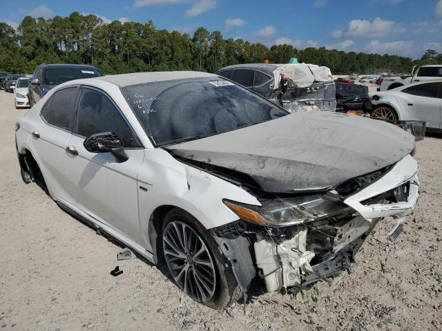 2019 TOYOTA CAMRY 4C 4T1B11HK4KU846916