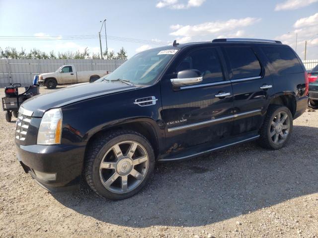 1GYS4BEF8BR101091 Cadillac Escalade Luxury 2011