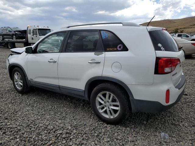 5XYKTDA74EG542349 KIA SORENTO LX