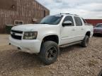 Lot #2936238876 2008 CHEVROLET AVALANCHE