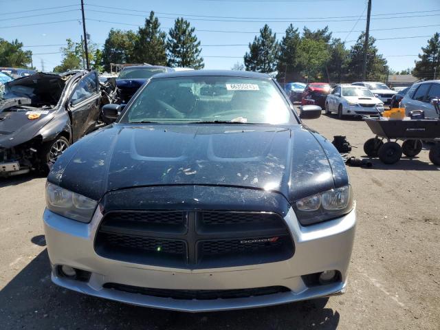 2C3CDXAT9EH207366 Dodge Charger Police
