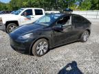 2023 TESLA MODEL Y - 7SAYGDEE8PA138763