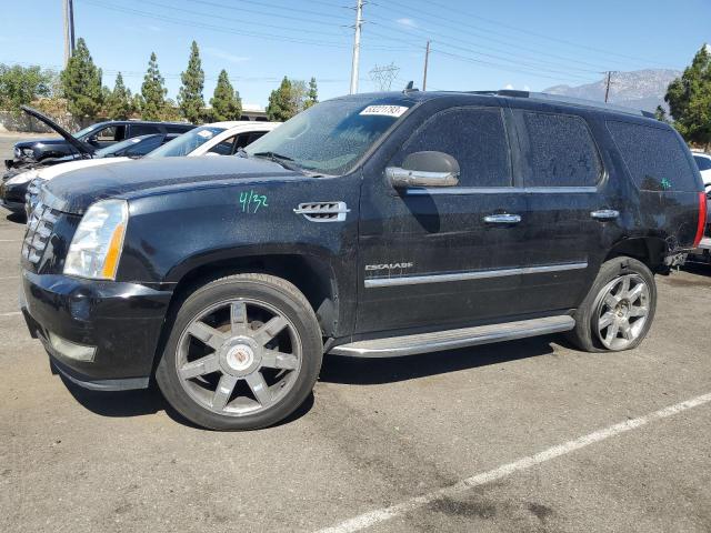 2010 Cadillac Escalade Luxury