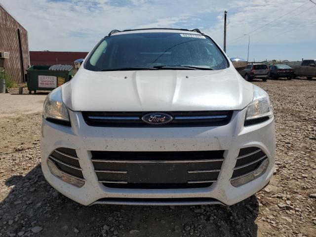 1FMCU9G98EUC08021 Ford ESCAPE SE
