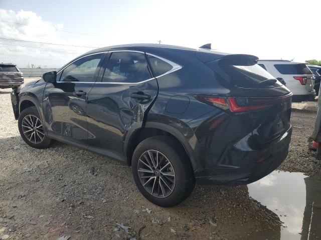 2022 LEXUS NX 250 JTJADCAZ9N2004709