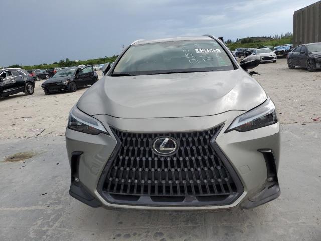 2023 LEXUS NX 250 2T2ADCAZ1PC004898