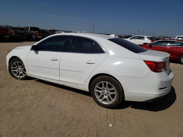 1G11C5SLXEF302182 | 2014 CHEVROLET MALIBU 1LT