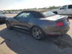 Lot #3024802450 2016 FORD MUSTANG