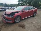 2016 HYUNDAI SONATA SPO - 5NPE34AF7GH422237