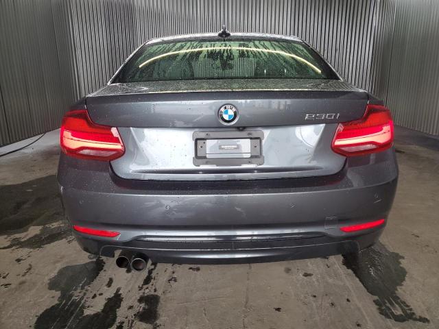 2021 BMW 230I - WBA2J1C02M7J25499