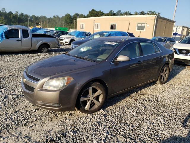 Vin: 1g1zc5e12bf264620, lot: 64840663, chevrolet malibu 1lt 2011 img_1