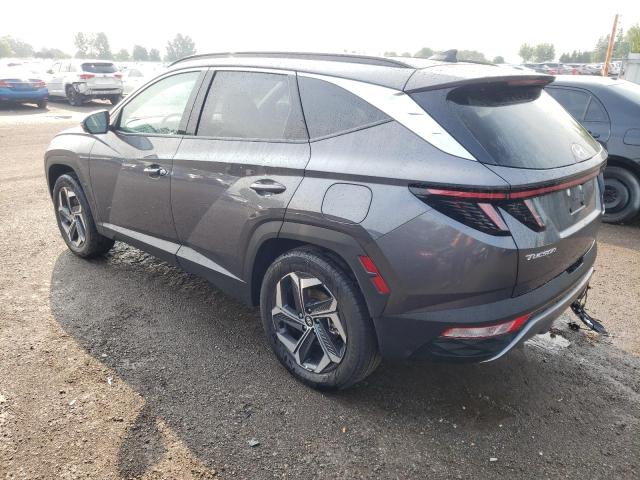 2023 HYUNDAI TUCSON LUX - KM8JCCA17PU124902