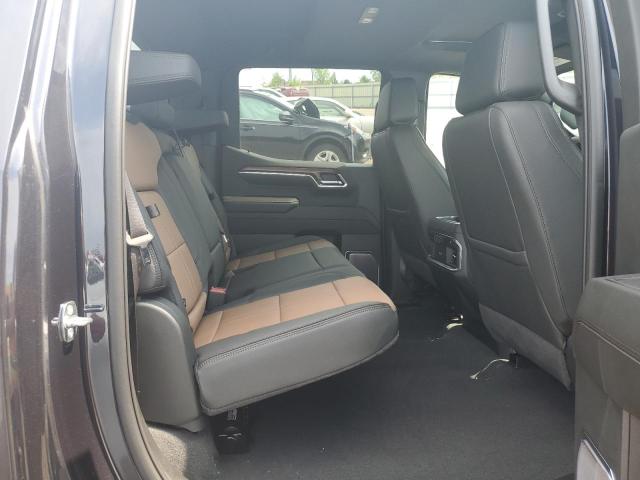 2023 CHEVROLET 10/1500 3GCUDJEL0PG256966