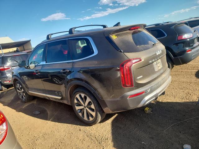 5XYP3DHC8NG243990 Kia Telluride  2