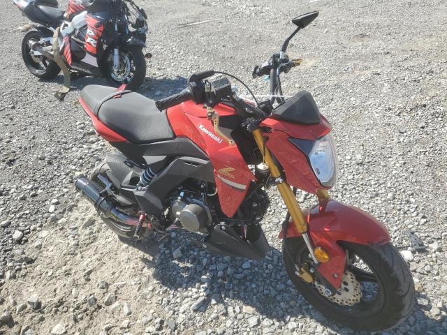 2023 KAWASAKI BR125 J - JKABRRJ15PDA27513