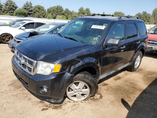 2011 Ford Escape XLT