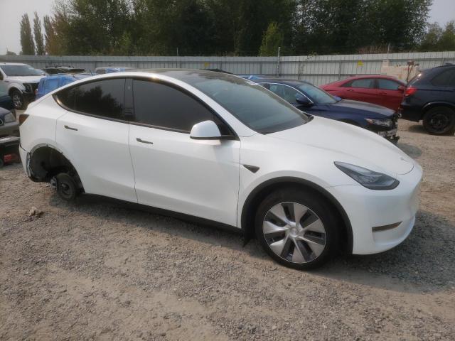 7SAYGDEEXNF371740 Tesla Model Y  4