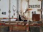 Lot #2957511411 1984 FRUEHAUF TRAILER