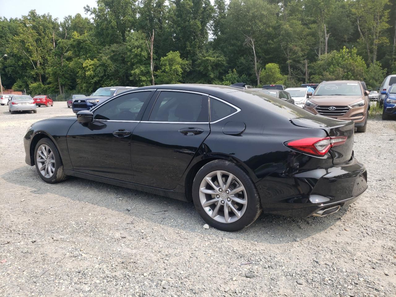 19UUB6F33MA005579 Acura TLX  2