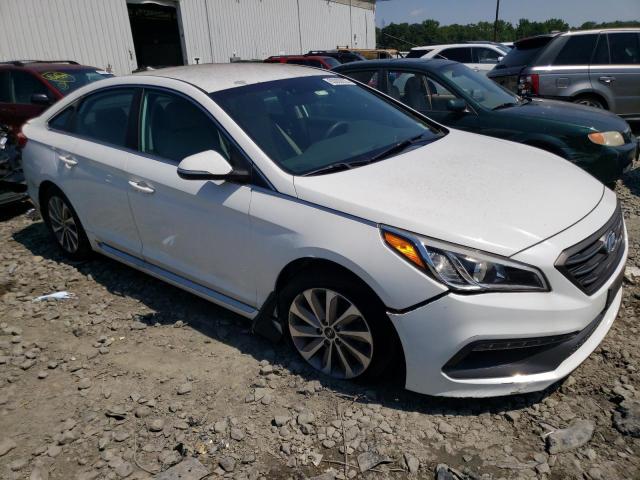 5NPE34AF5FH021641 | 2015 HYUNDAI SONATA SPO