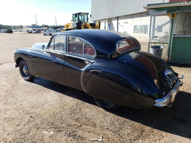 JAGUAR   1953 1